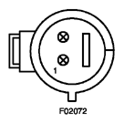 G10361556