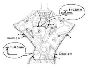 G10648560