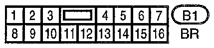 G10864029