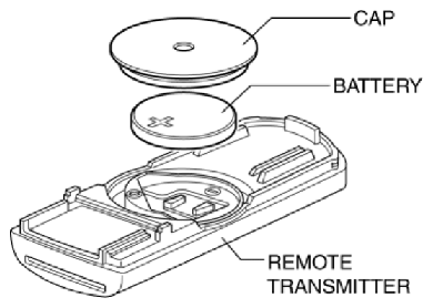 G10914461