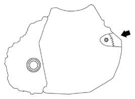 G10937247