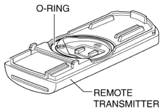 G10954397