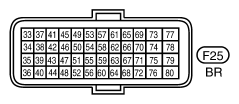 G10955588