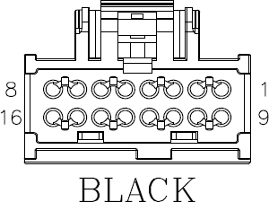 G11027824