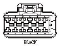 G11029310