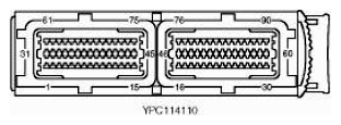 G11046695