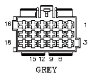 G11053194