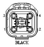 G11061974