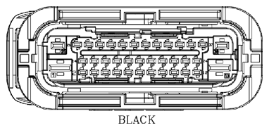 G11073216