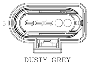 G11073226
