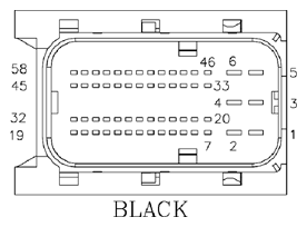 G11073381