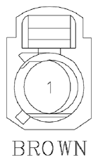 G11073794