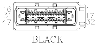 G11073958