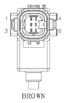 G11077824