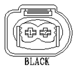 G11130136