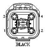 G11142098