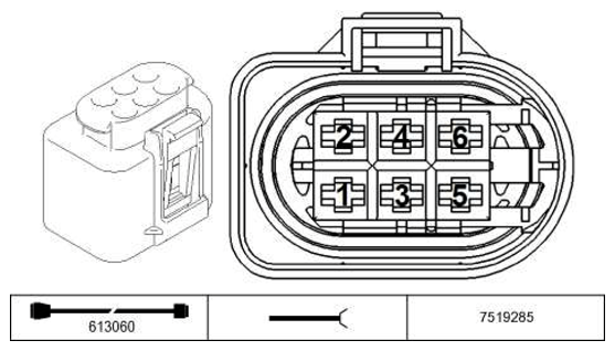 G11228684