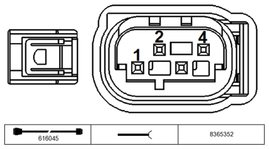 G11228894