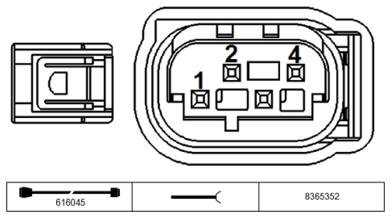 G11229052