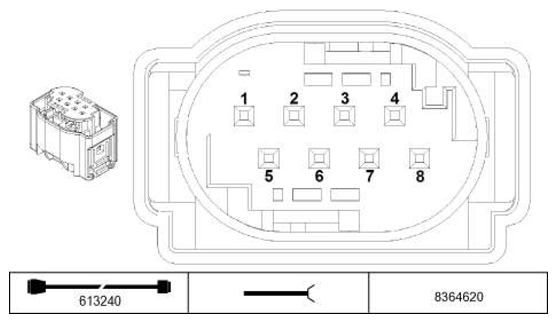 G11229796