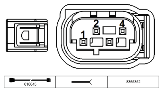 G11231076