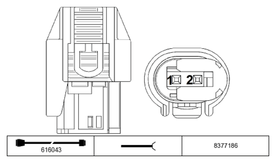 G11231091