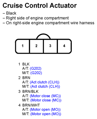 G11247225
