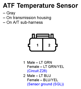 G11247681