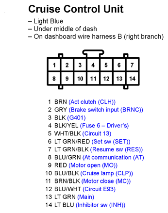 G11247886
