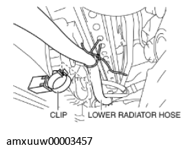 G11278906