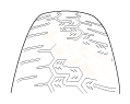 G11339842