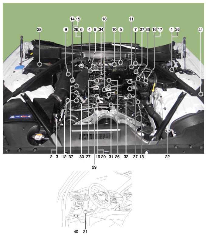 G11354969