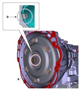 G11355254