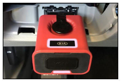 G11389271