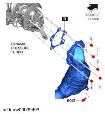 G11436295
