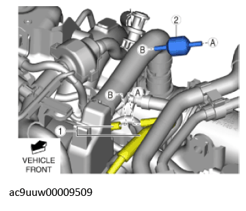 G11436425