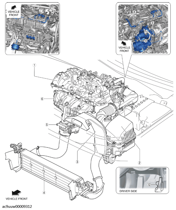 G11436436