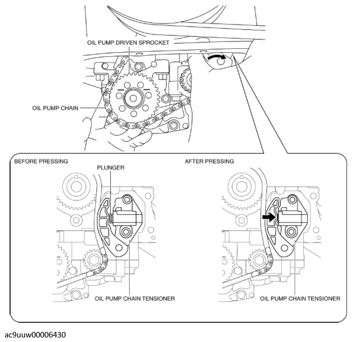 G11436494