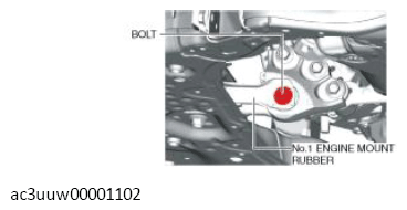 G11437216