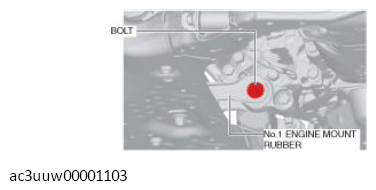 G11437217