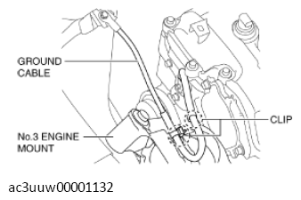 G11437306