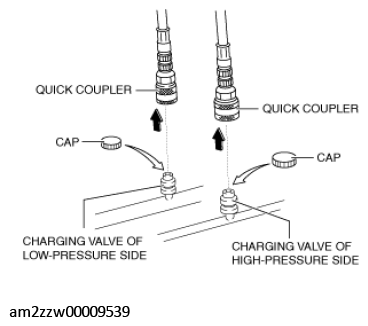 G11437561
