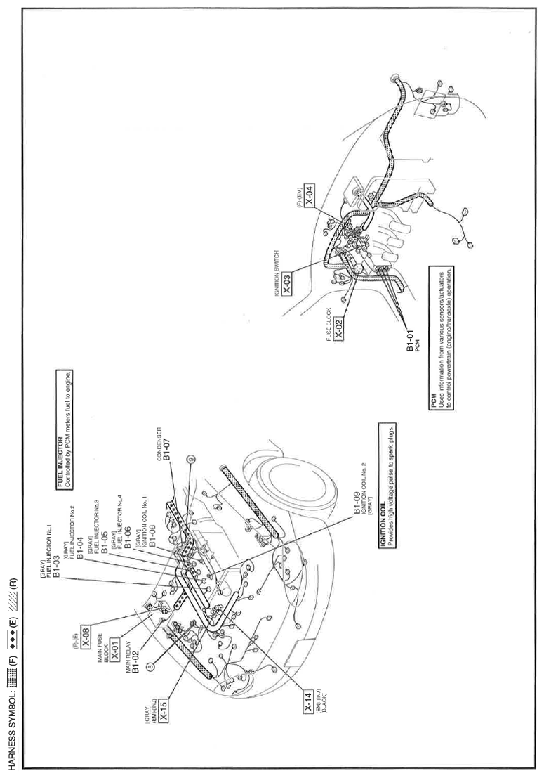 G11560966