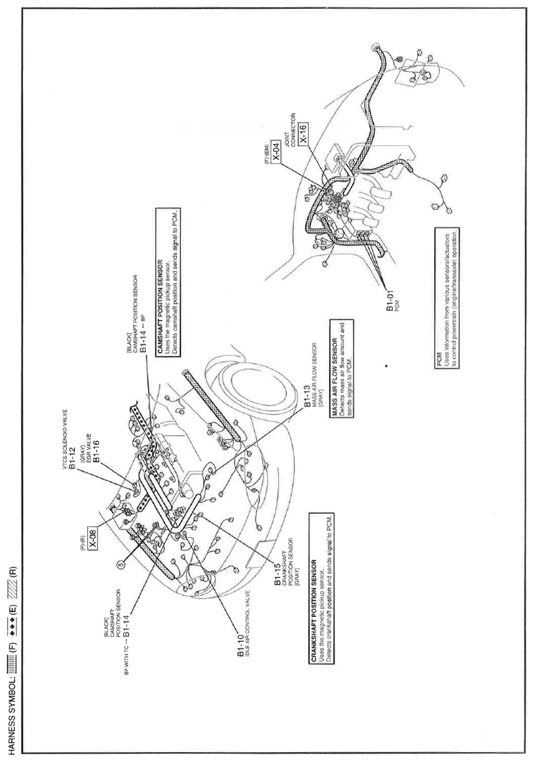 G11560968