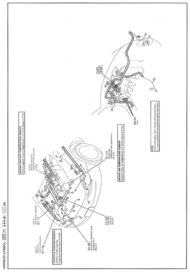 G11560970