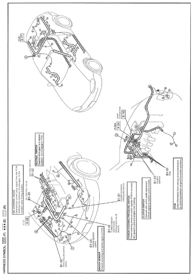G11560972