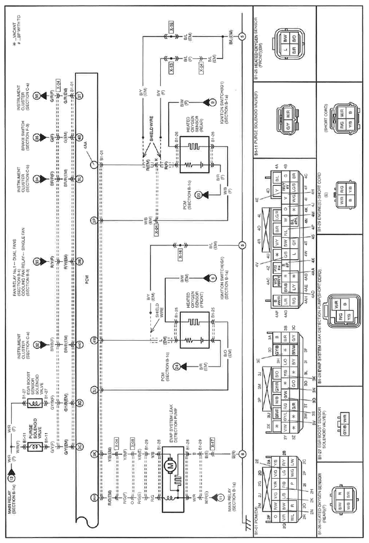 G11560973