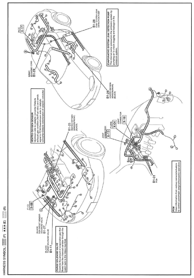 G11560974