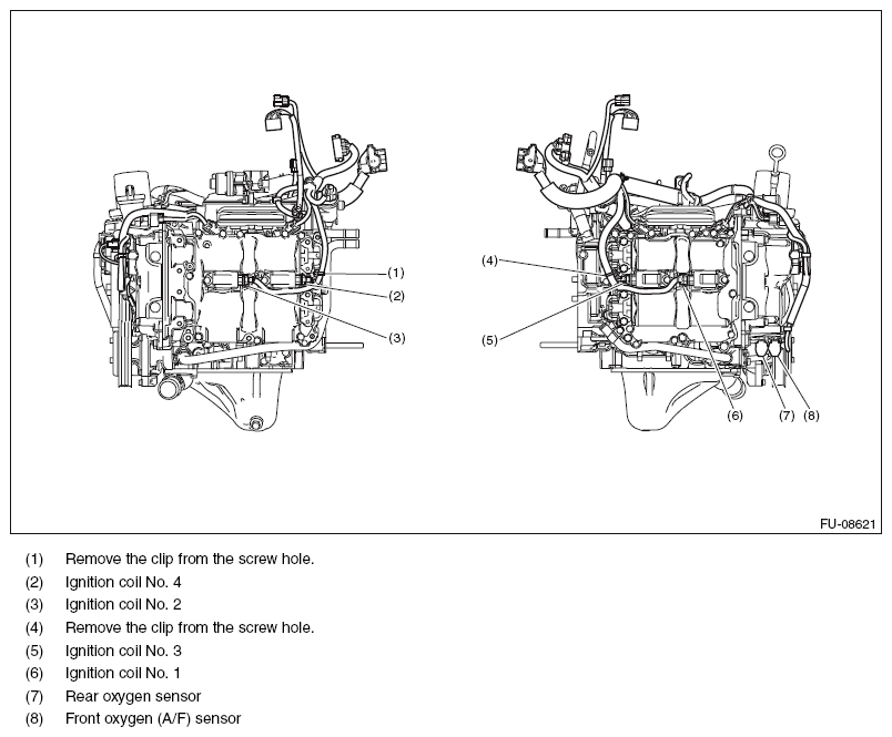 G11565944