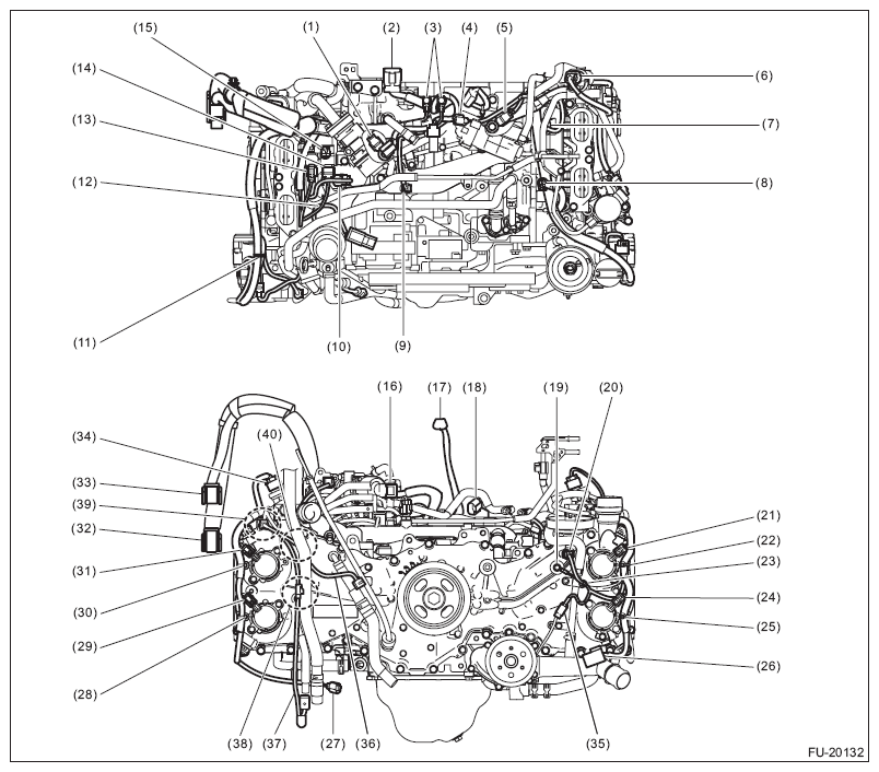 G11574591